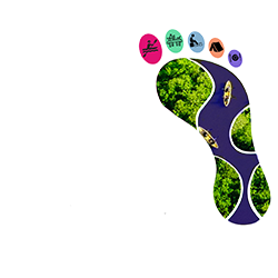Dutch Trails