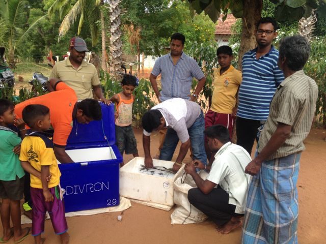 A village crowd around a Divron cold box as the catch is weighed and iced