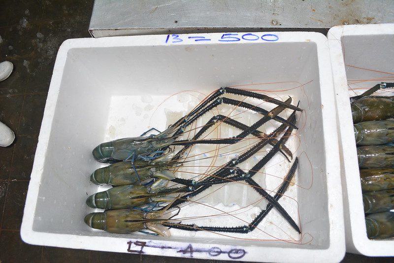 Boxes of graded prawns, each marked on the lid with its grade and weight