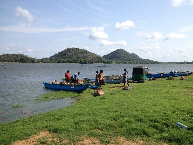 Fishers loading the morning's catch from their canoes on the reservoir shore