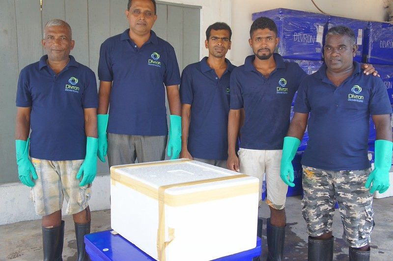 The packing team with a sealed cold box