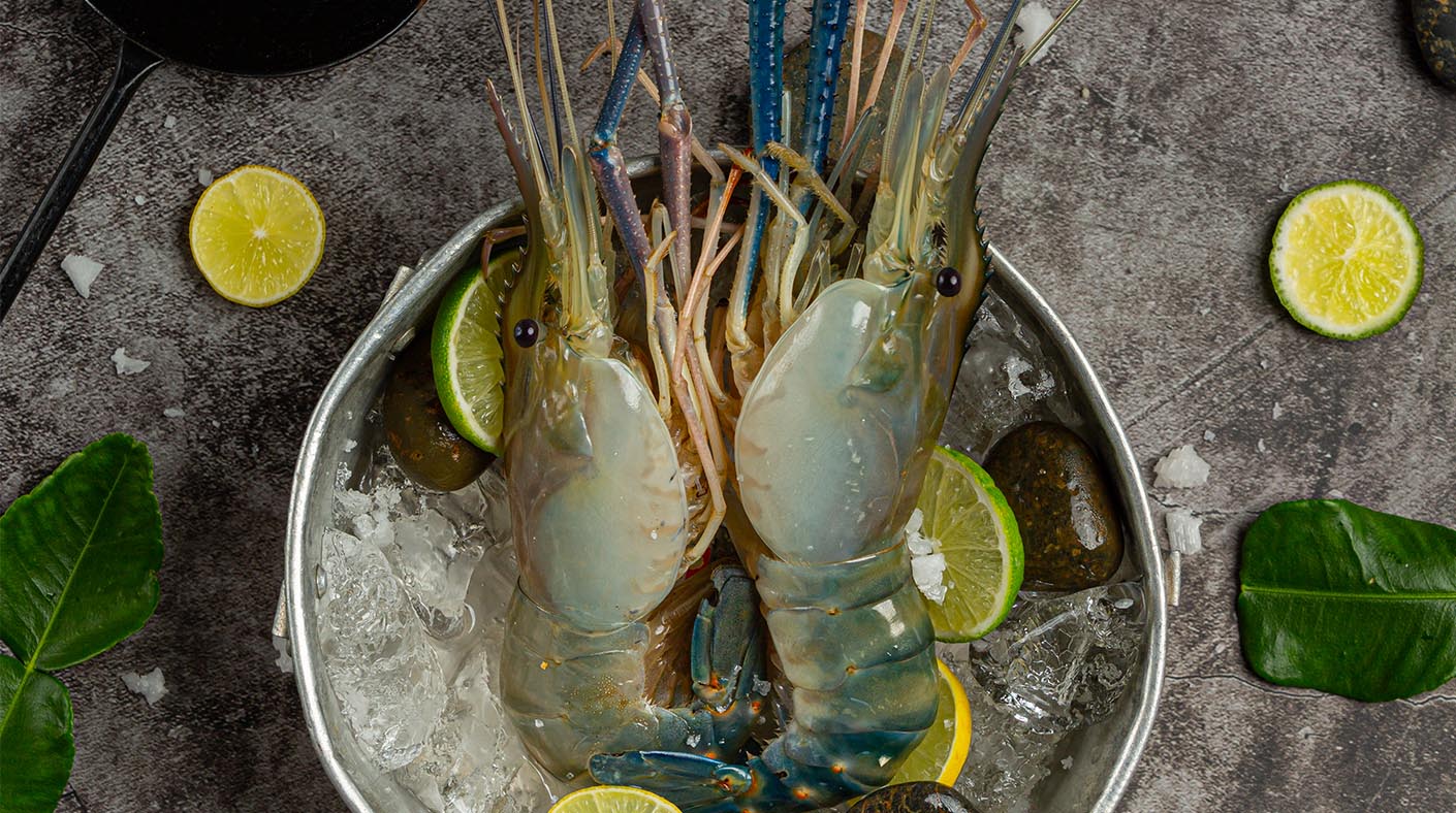 Giant freshwater prawn